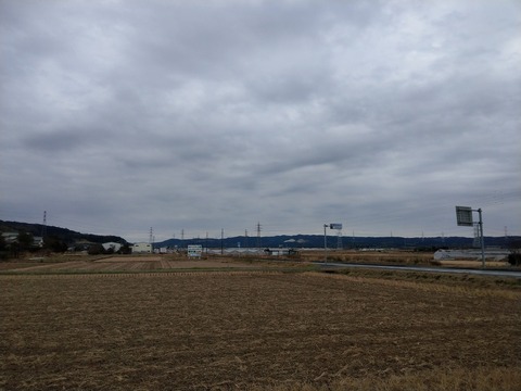 IMAG5798