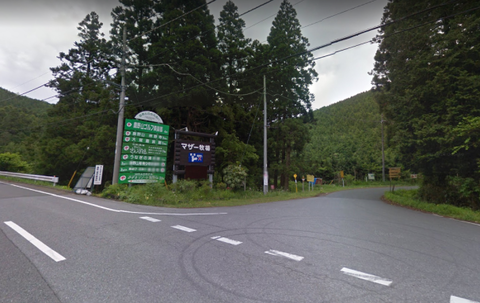 image4274
