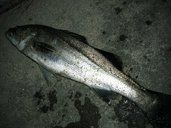 R0030703