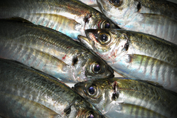 aji