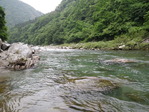 jm2011d