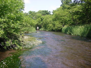 IMGP0010