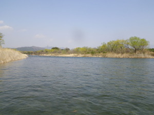 k415