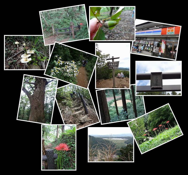 Image1