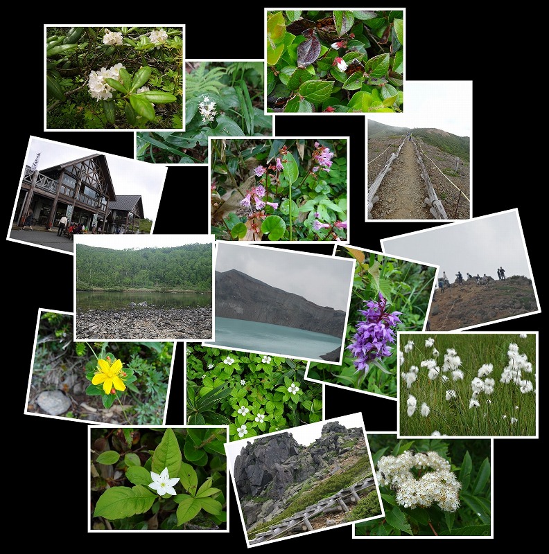 Image1