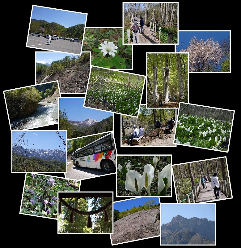 Image1