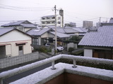 P1100197