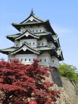 CIMG0231