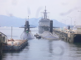 P1070903