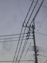 P1080746