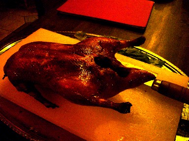 051010エイトダック.jpg