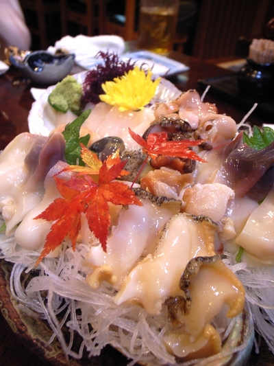 081129�賭��