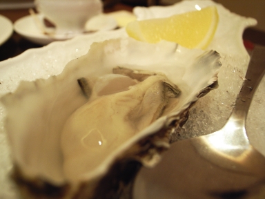 070204�르���參��