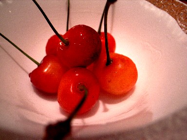 060630�����ڤ�������.jpg