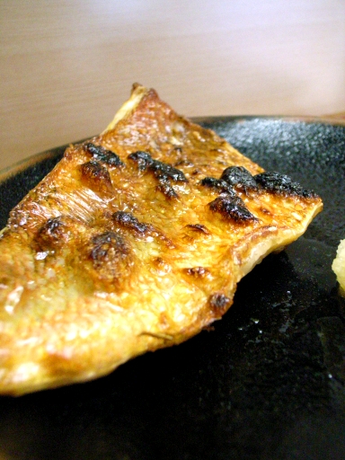 080422魚竹アコウ鯛