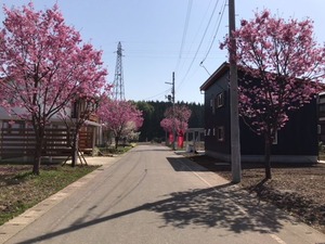 IMG_2004