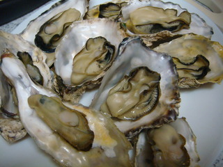 DSC04240
