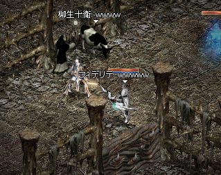 野牛