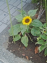 2f3693ba.jpg