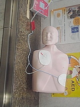 4d2775e3.jpg