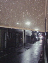 8ec049d0.jpg