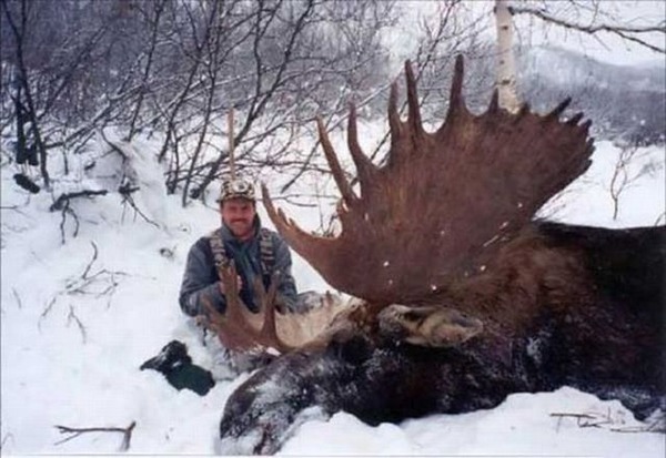 supersized_creatures_640_14