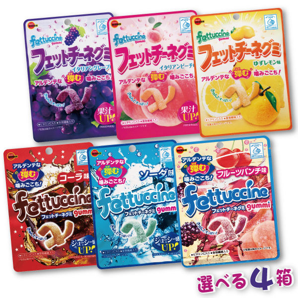 フェットチーネグミ選べる4メイン画像1711