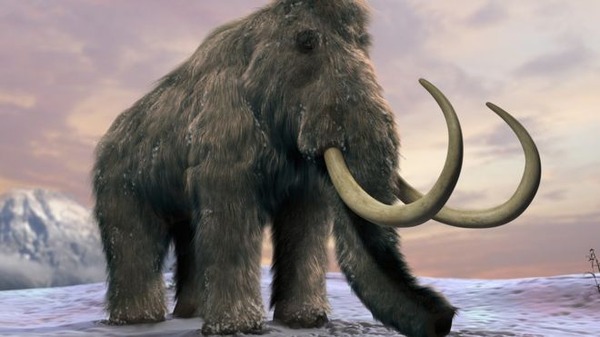 _90605265_c0205129-woolly_mammoth_artwork-spl