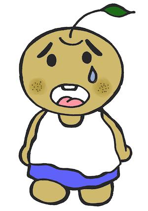 kanashikun