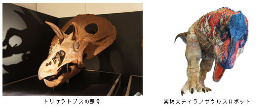 20140307_zaurus_03