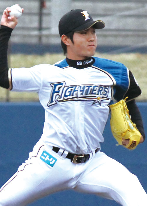 201311nichihamu