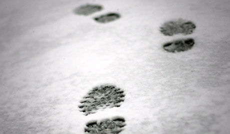 4highres_00000401593509