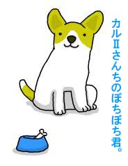 bochibochikun