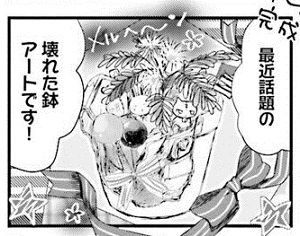 ステファニーの鉢
