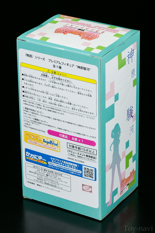 suruga sega-2