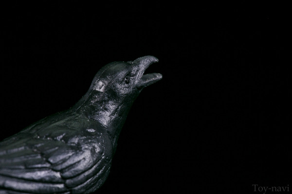 karasu-19
