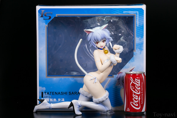 tatenashi-11