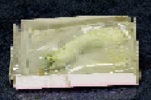 5c6f5164