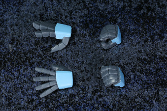 rb_gouf_c-30