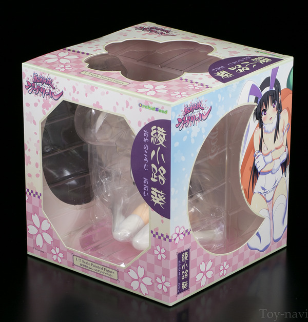 aoi-1