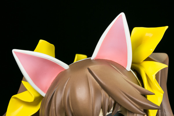rin2-64