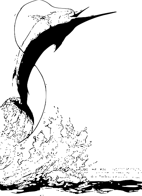 fishing-47290_640