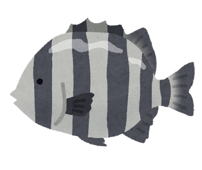 fish_ishidai2