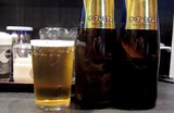 120123SDG_beer02