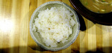 091204katumi_nibocyurice.jpg
