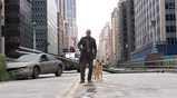I Am Legend