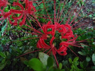 IMG_20170922_130915