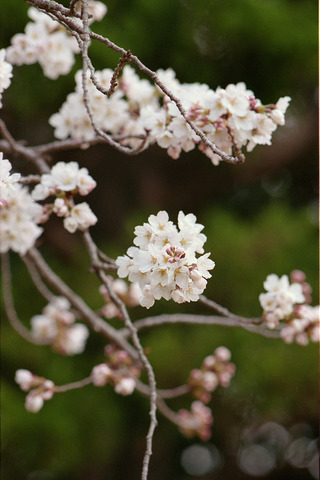blog01