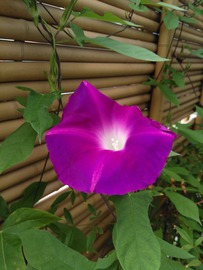 IMG_20170909_154410