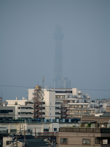 p6051528